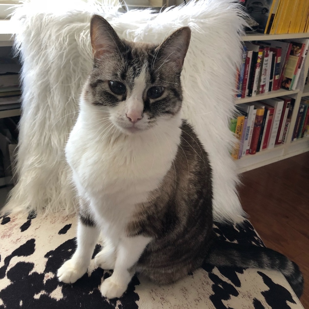 Meet your Posher, Anna kate